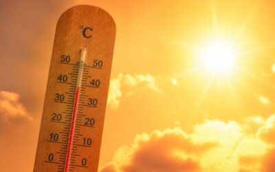 Canicula poate dubla în viitor decesele anuale cauzate de afecțiuni cardiace legate de căldură