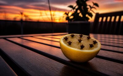 Cum folosești seara lămâia cu cuișoare ca să ții țânțarii la distanță