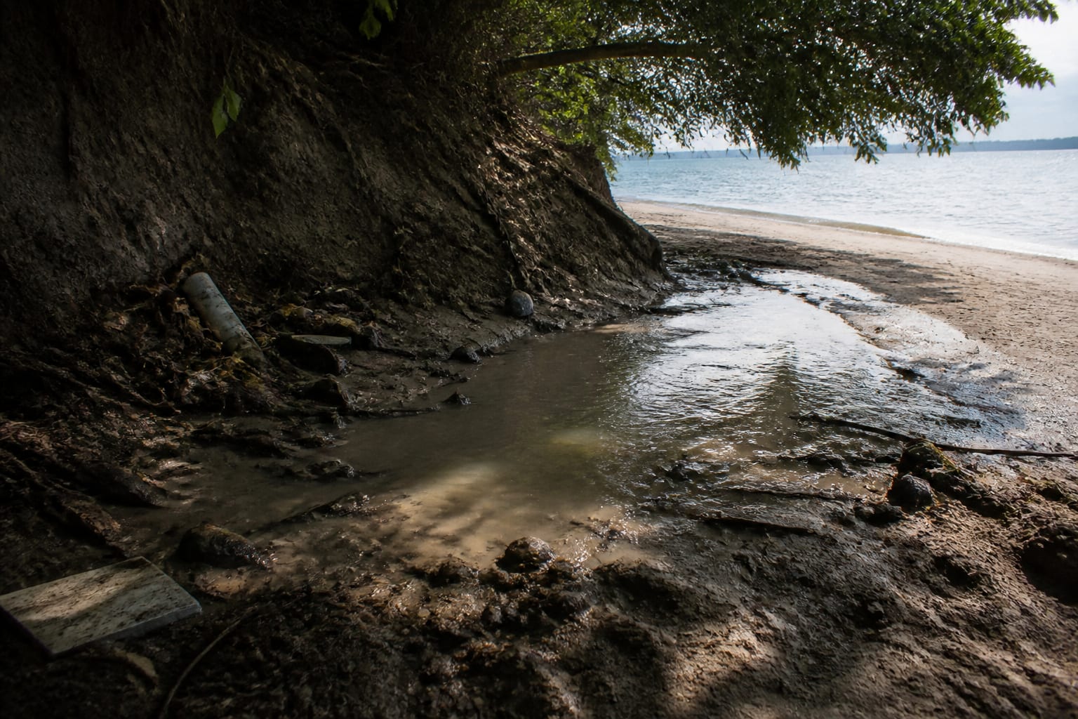 Leptospiroza, diagnosticul surpriză primit de o tânără de 18 ani după vacanța la mare