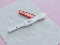 O genă identificată la Universitatea Monash este legată de prelungirea vieții reproductive feminine
