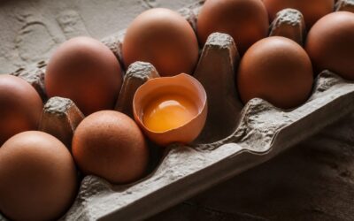 Colina din ouă, nutrientul care îți poate accelera viteza de gândire