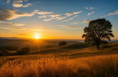 Horoscopul de luni, 3 august: Leul iese la rampă, Fecioara pune lucrurile la punct